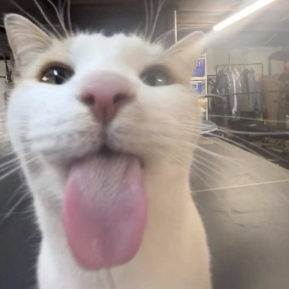 Meet your Posher, Wendy - Picture 1 of 1